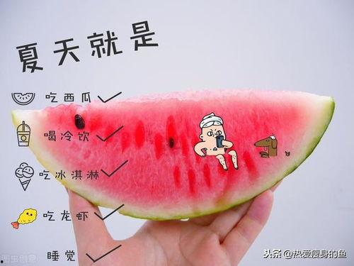 猴吃瓜的正确方法,解锁夏日消暑新姿势