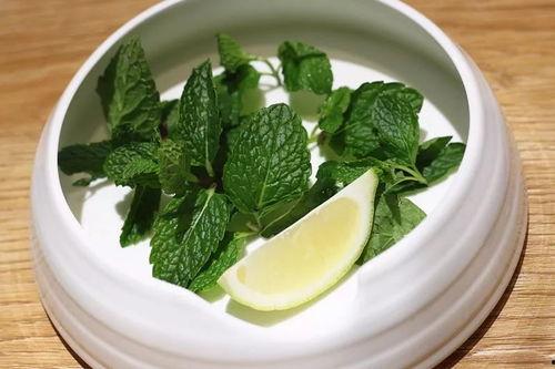 吃瓜种草维密,吃瓜种草，揭秘时尚界的璀璨盛宴