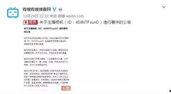 吃瓜b站主播,揭秘网络红人的幕后生活