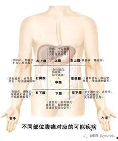吃小瓜肚脐周围疼,揭秘原因及应对策略
