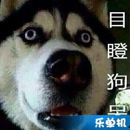 完整吃瓜流泪视频,揭秘幕后真相