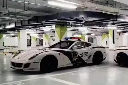 警车吃瓜,趣味横生演绎夏日街头