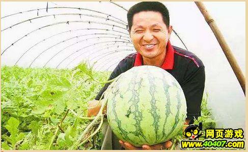 福建吃瓜墙,街头巷尾的热议焦点