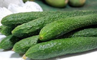 吃瓜篓有没毒,探究其安全性及无毒之谜