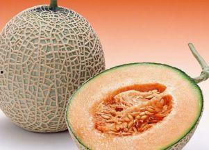 退烧吃哈密瓜