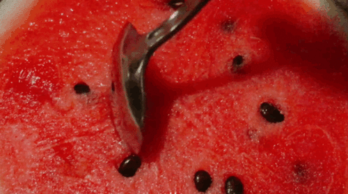 北艺吃瓜,揭秘校园“吃瓜”背后的故事