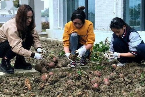 遂昌老师吃瓜事件