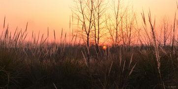 安徽黄昏吃瓜,瓜香四溢的悠闲时光