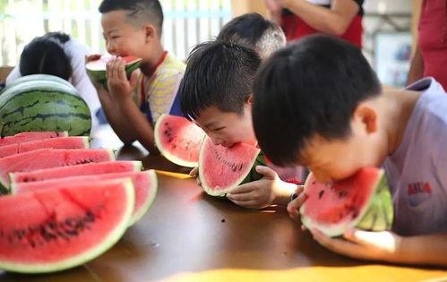 吃瓜大放送,揭秘娱乐圈幕后故事