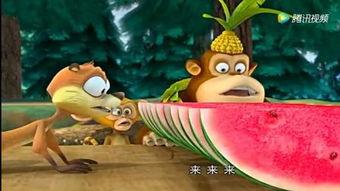 狮子吃瓜的视频,趣味横生瞬间捕捉