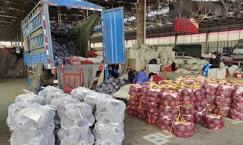 寿光东城 吃瓜,吃瓜群众的热闹日常