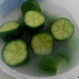 燕子吃芥末瓜,舌尖上的趣味探索