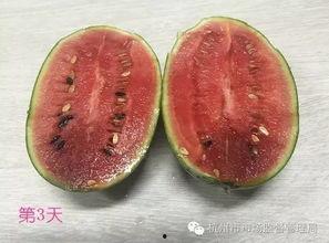 里面打架外面吃瓜,一场校园风波的“吃瓜”观察