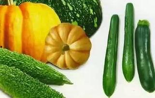 吃瓜老赵,揭秘娱乐圈那些不为人知的幕后故事