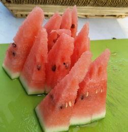 菜单吃瓜,揭秘美食背后的趣味故事