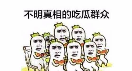 暴躁的吃瓜群众,揭秘娱乐圈风云变幻背后的真相