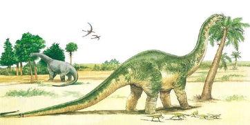 搞怪吃瓜恐龙图片,搞怪吃瓜恐龙萌态全记录