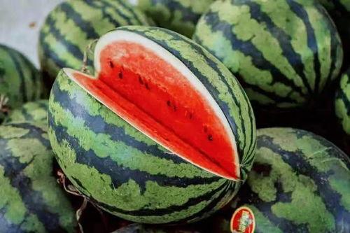 吃瓜买瓜视频教程